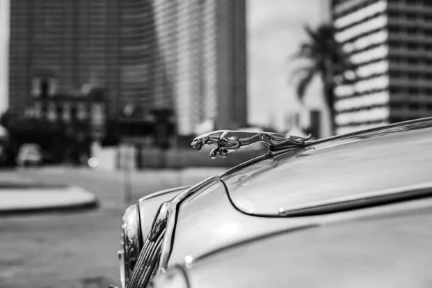 PocketWin Casino Aplicación Android/iOS