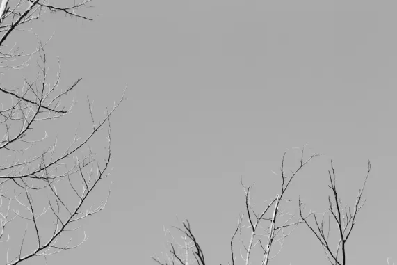 PocketWin Casino Soporte